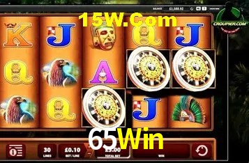 Sistemas de Segurança 65Win